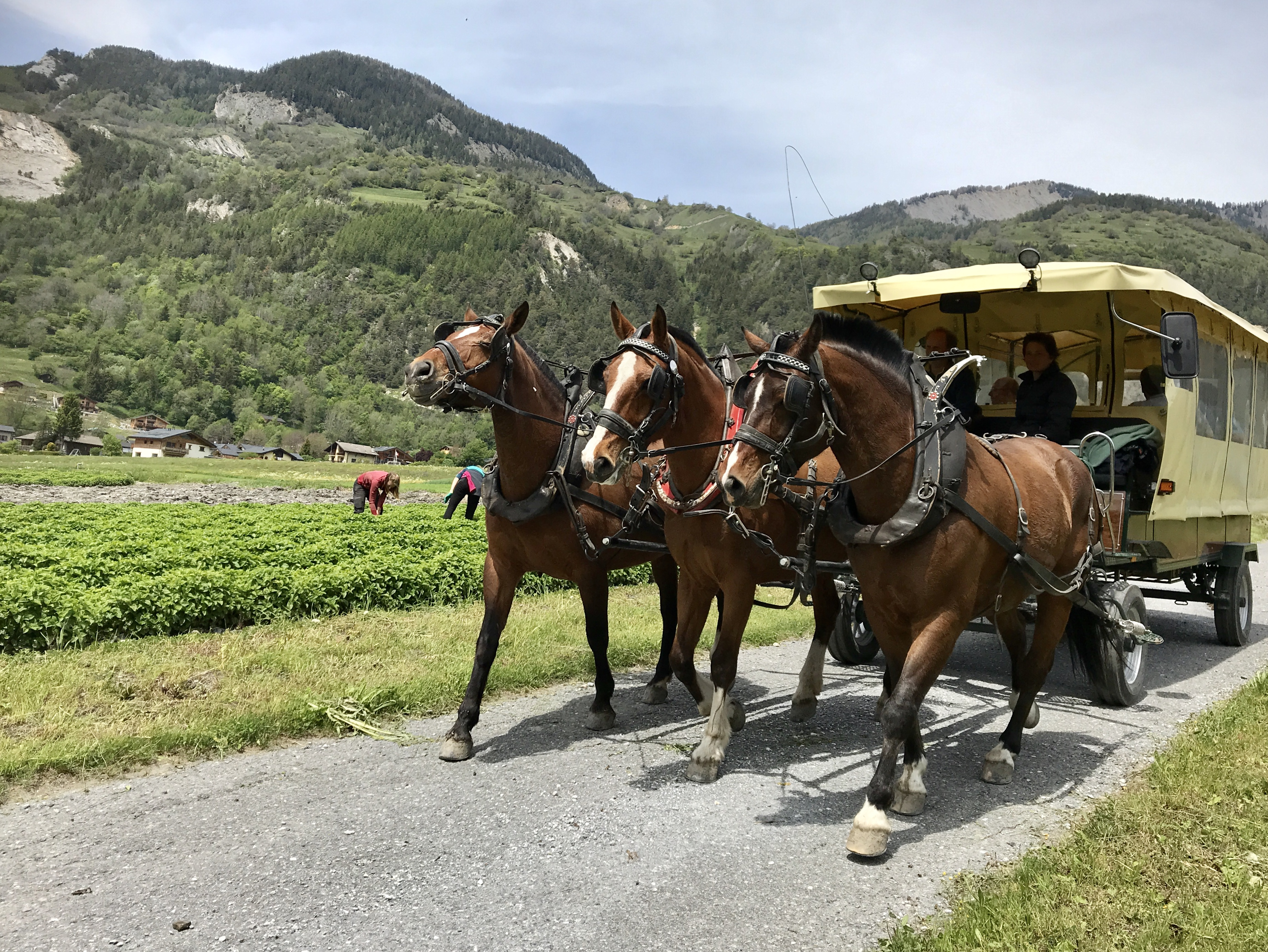 Un agritourisme en marche