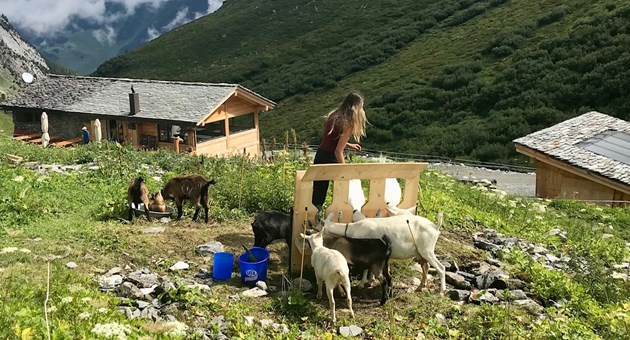 Ouverture estivale de la Tsissette