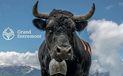 Parraine ta vache avec Edelalp!
