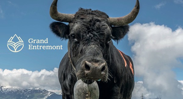 Parraine ta vache avec Edelalp!