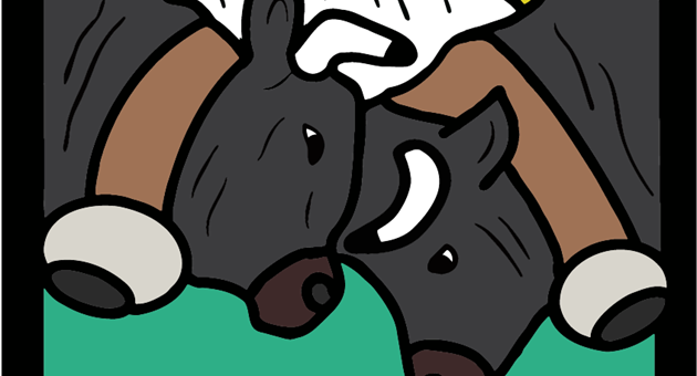 Combat de reines estival à Bonatchiesse