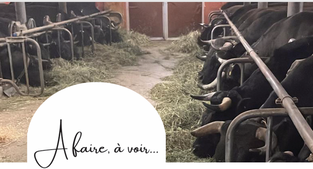 Le goût des cimes à la ferme