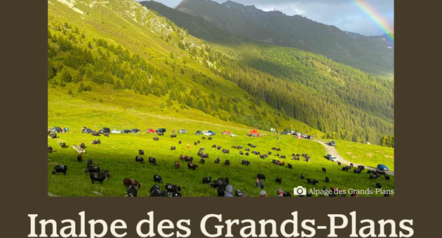 Inalpe des Grands Plans
