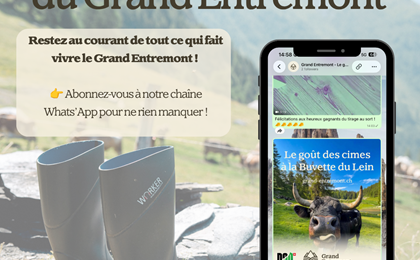 Nos actualités à suivre sur WhatsApp 