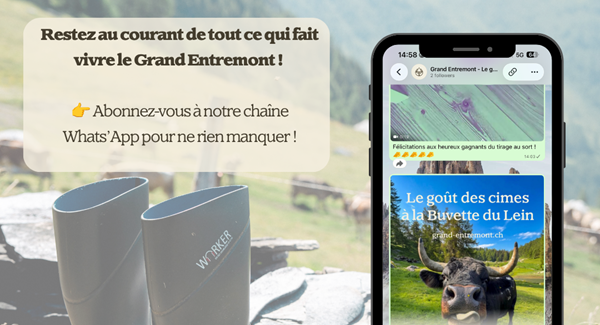 Nos actualités à suivre sur WhatsApp 